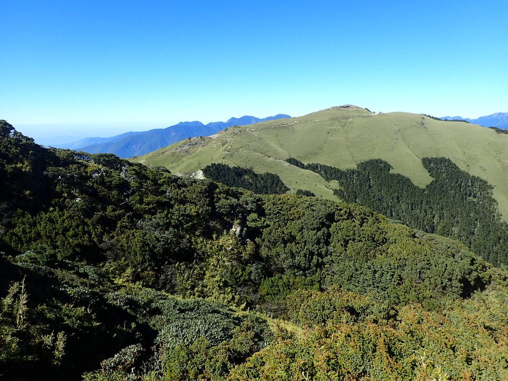 PC132123.JPG - 合歡山  東峰