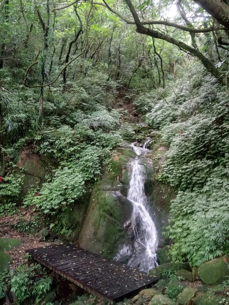 DSC_3602.JPG - 瑞芳  燦光寮古道初探