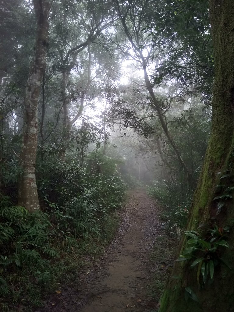 DSC_4884.JPG - 大溪  溪洲山登山步道