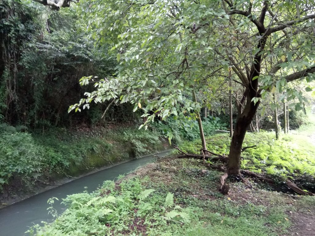 DSC_9680.JPG - 舊山線鐵道  后里圳磚橋