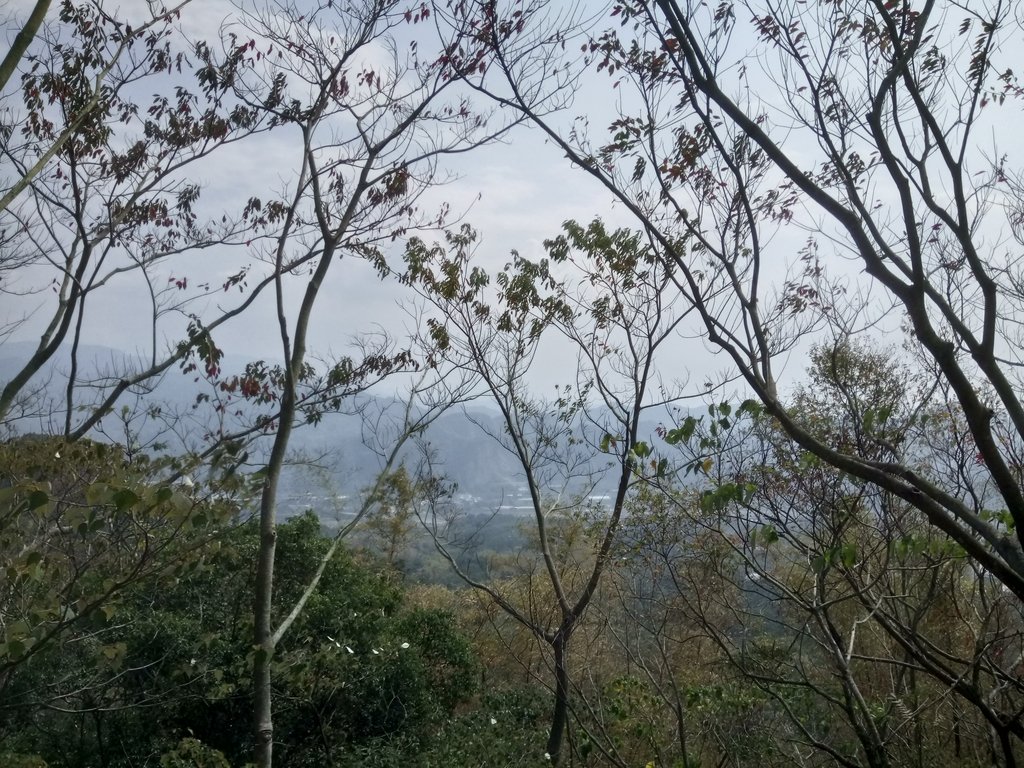 DSC_7296.JPG - 草屯平林  九九峰森林步道