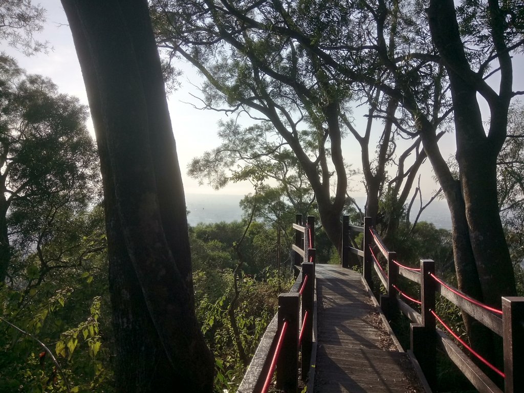 DSC_0703.JPG - 潭子 聚興山  新田登山步道