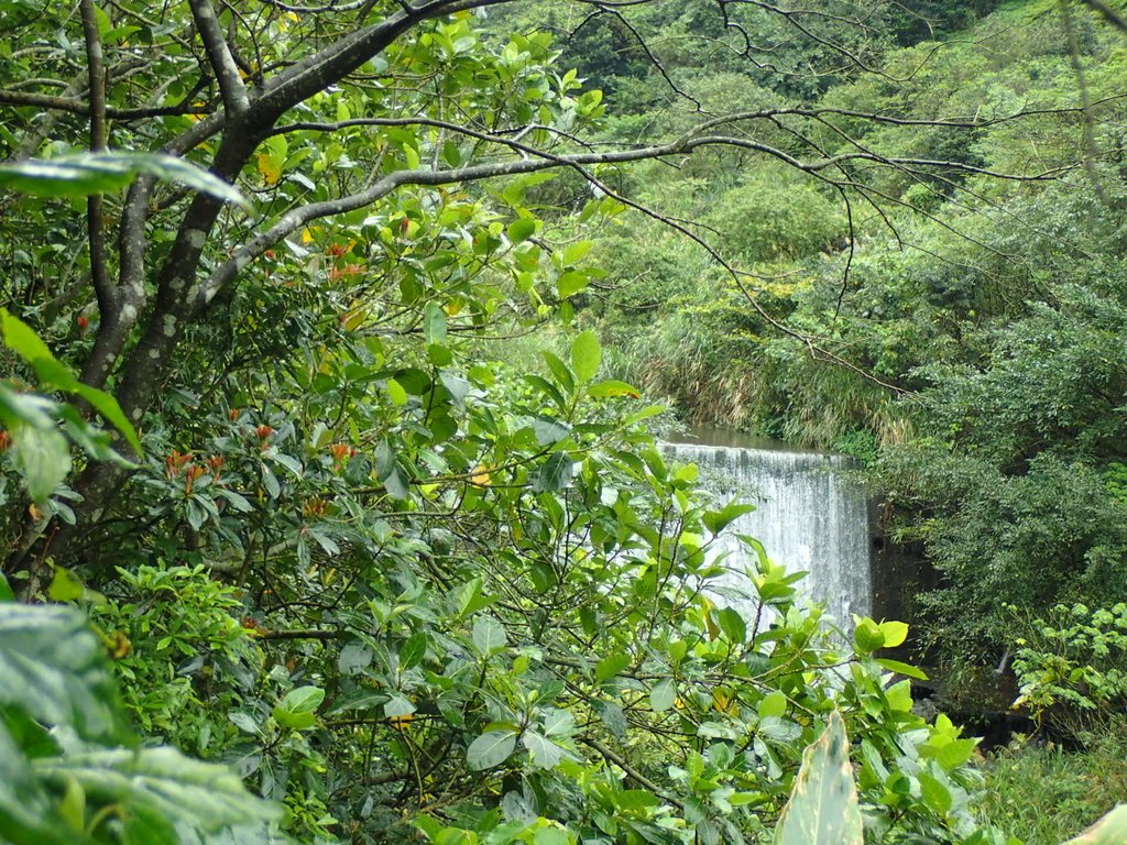 P3240613.JPG - 金瓜石之  外九份溪圳橋