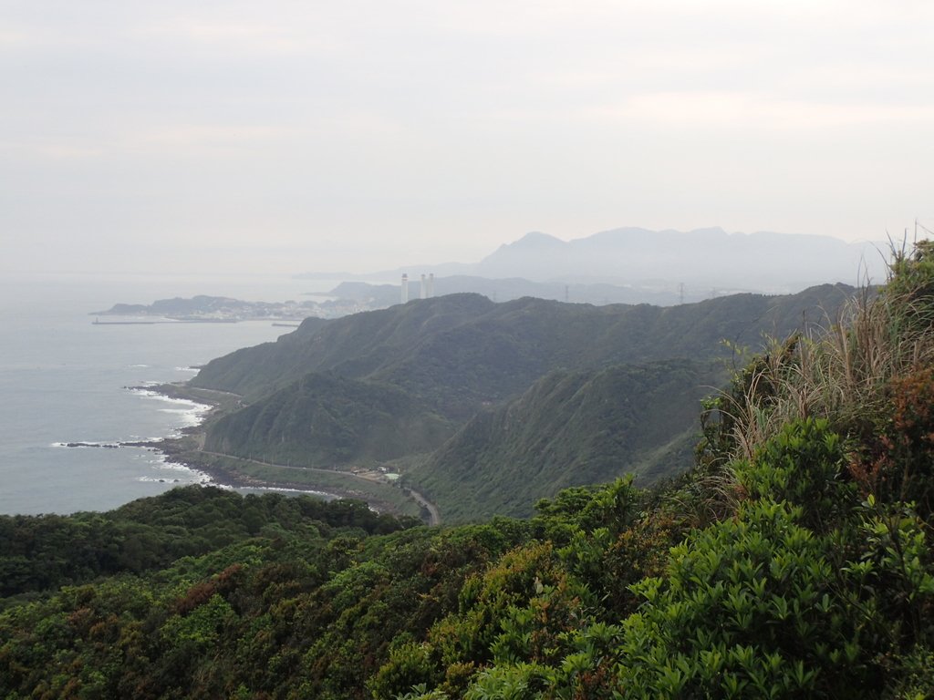 P3308216.JPG - 萬里  瑪鋉山  (望洋崖)