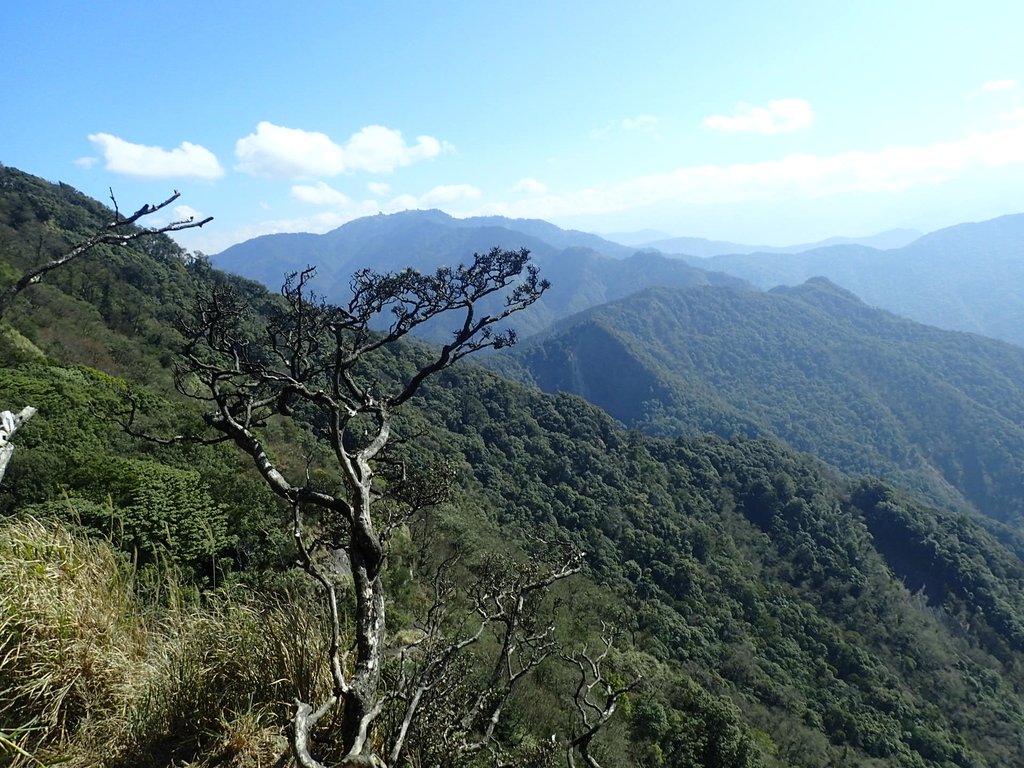 P2034820.JPG - 南庄  加里山