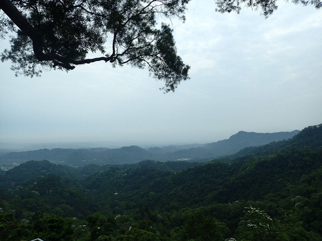 P4191901.JPG - 南庄  細湖頂  山中夜色