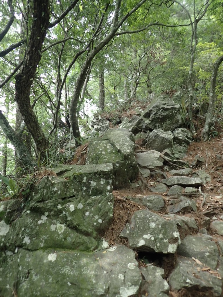 P6054127.JPG - 谷關七雄之  馬崙山  (上)