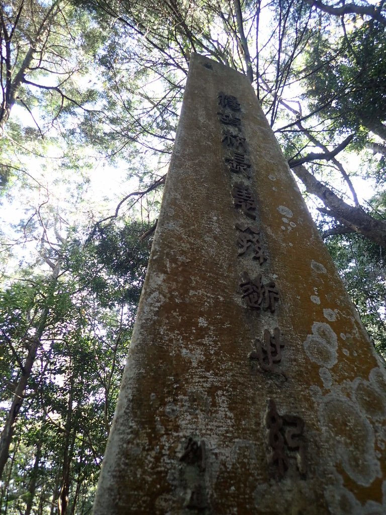 PB225041.JPG - 仁愛  惠蓀林場  湯公碑步道