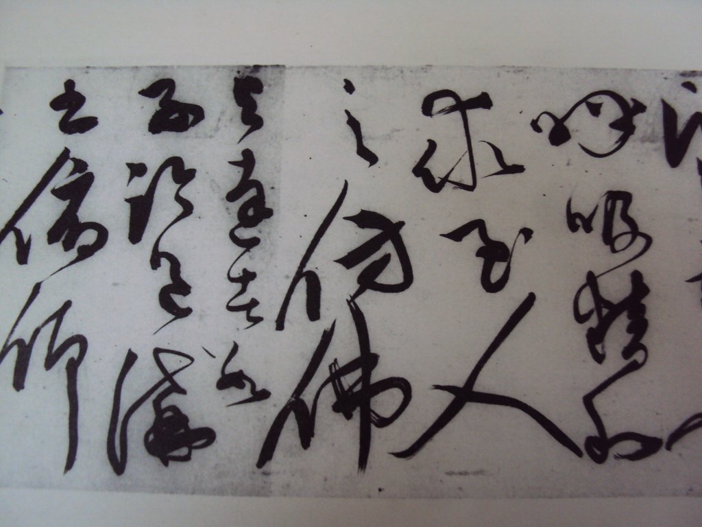 DSC00251.JPG - 陳淳的草書作品