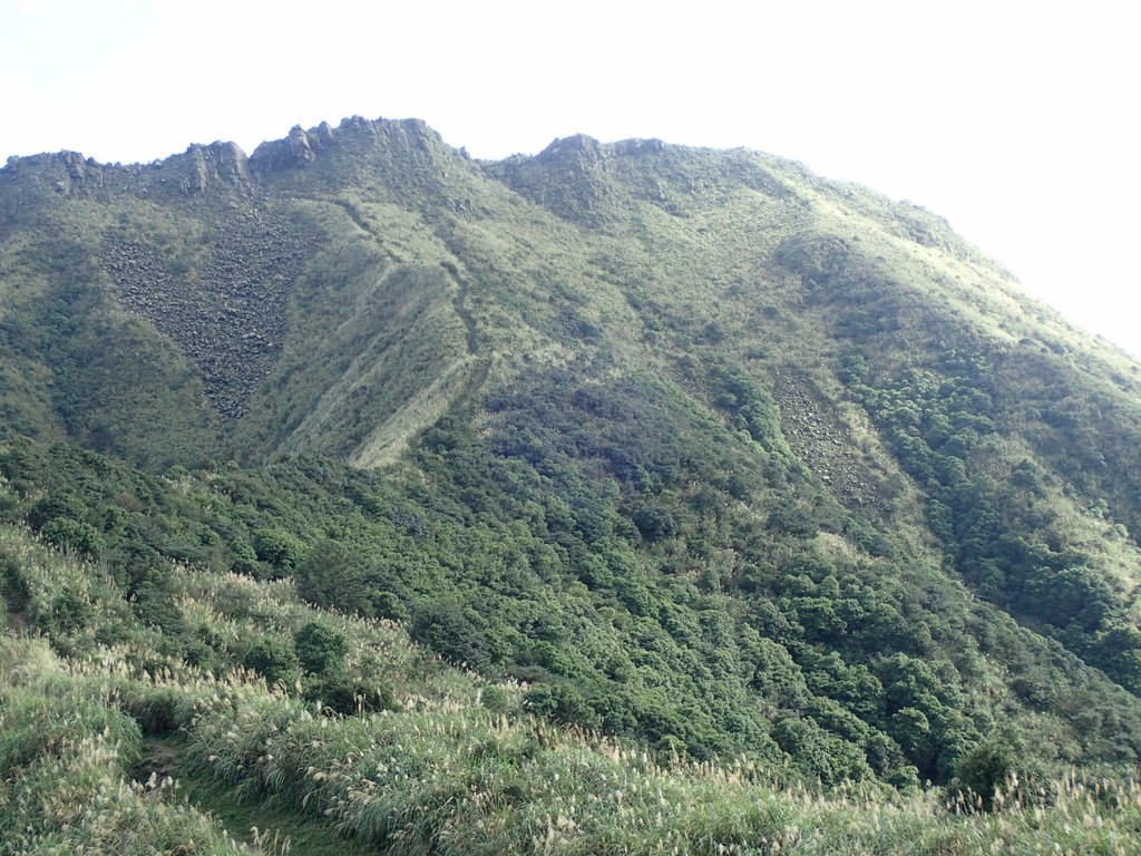 P1102354.JPG - 半坪山  無耳茶壺山