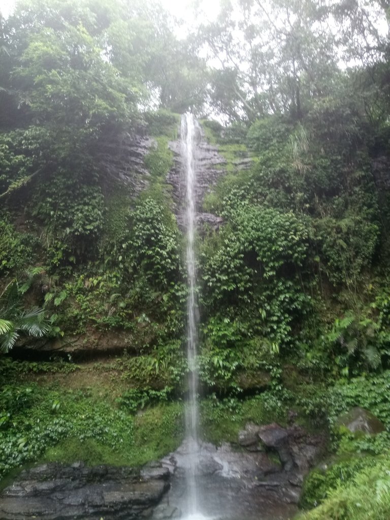 DSC_8443.JPG - 深坑  炮子崙登山步道