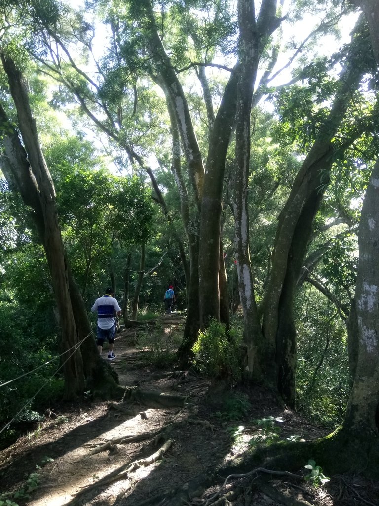 DSC_4802.JPG - 台中  大坑  南觀音山