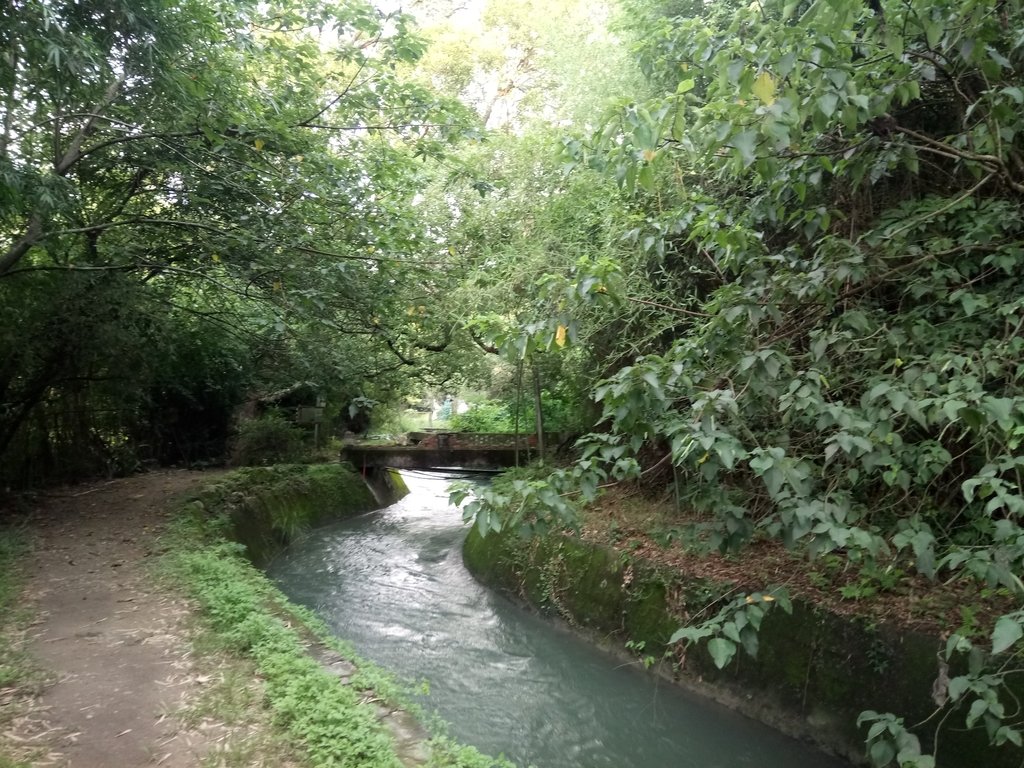 DSC_9681.JPG - 舊山線鐵道  后里圳磚橋