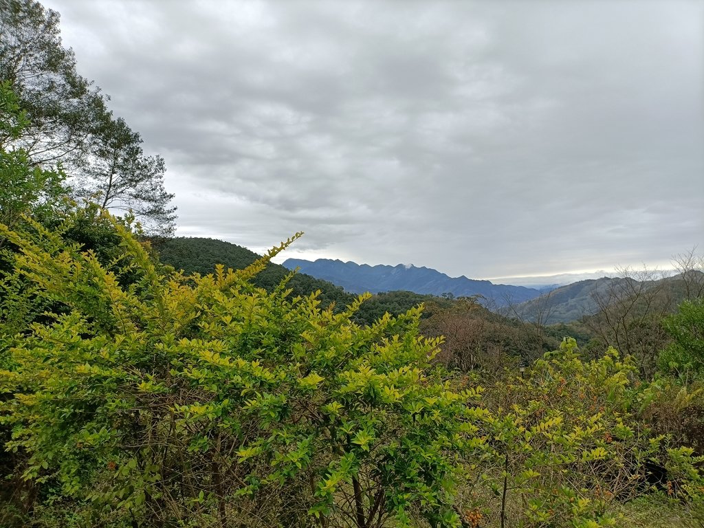 IMG20201215114516.jpg - 東眼山  東滿步道