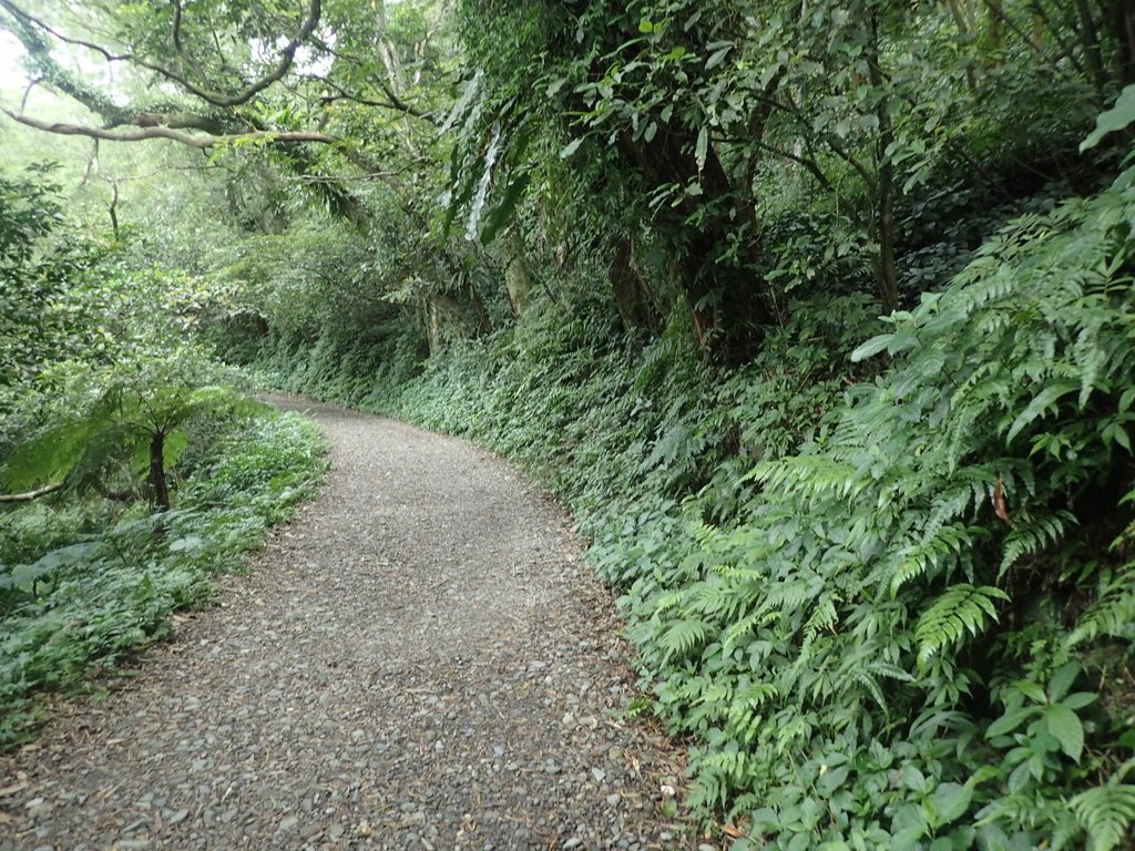 PB159001.JPG - 礁溪  聖母登山步道  (抹茶山)