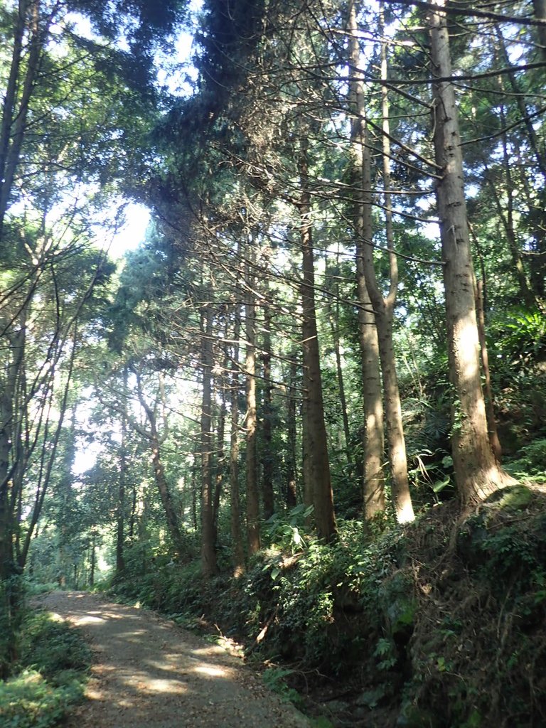 PA064358.JPG - 大湖  馬那邦山  (01)