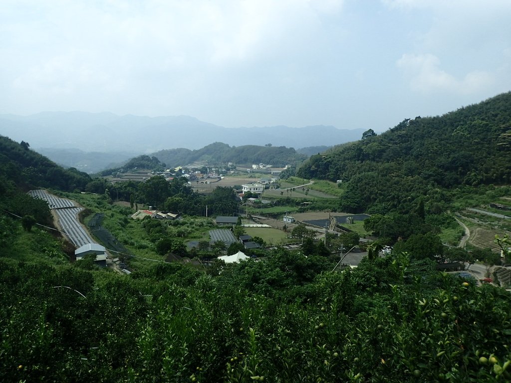 PA064506.JPG - 大湖  馬那邦山  (03)