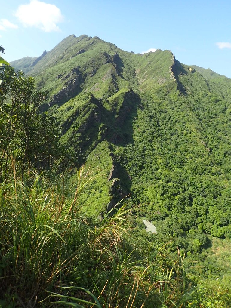 PA104833.JPG - 秋晴  南子吝山  登龍尾坪