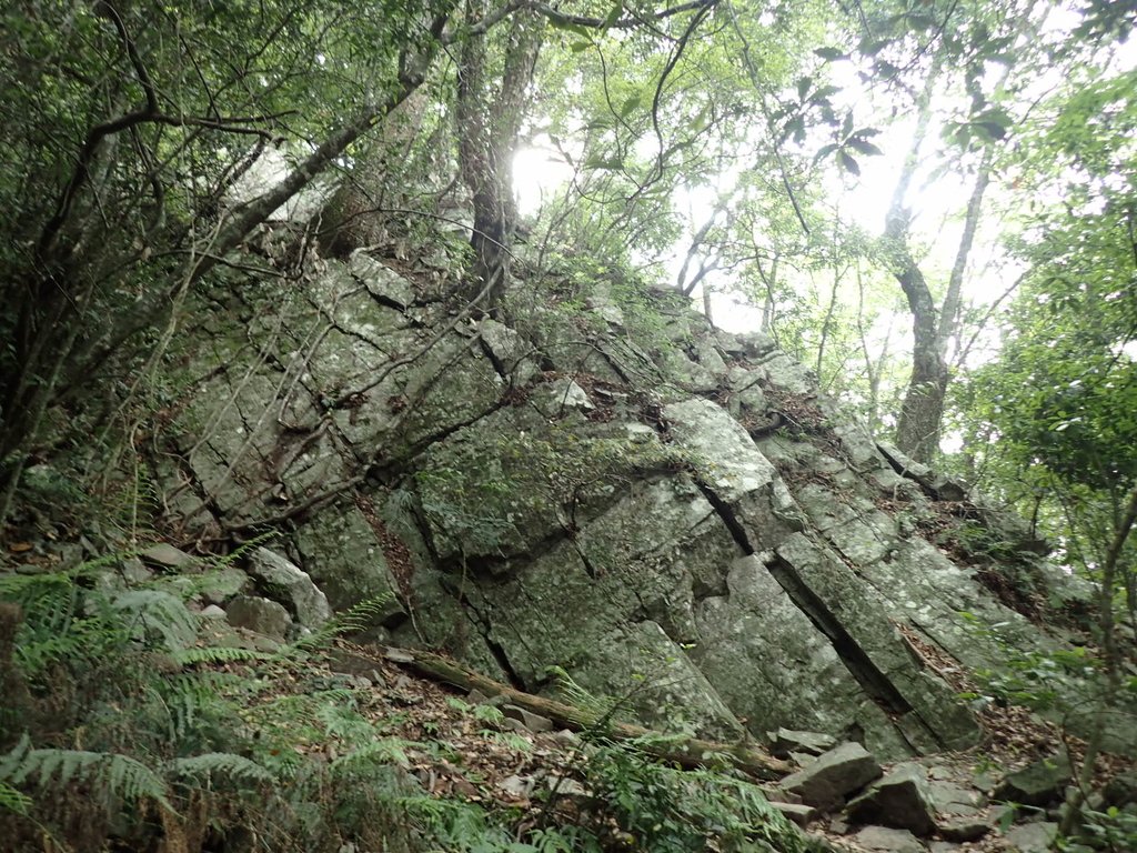 P5012283.JPG - 谷關七雄之  波津加山