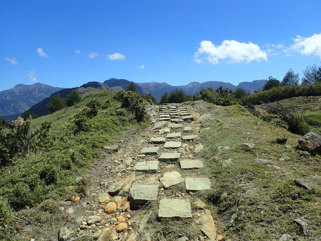 P3268164.JPG - 鹿林山  麟趾山步道  (02)