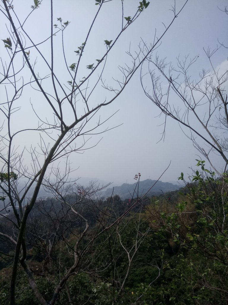 DSC_7300.JPG - 草屯平林  九九峰森林步道