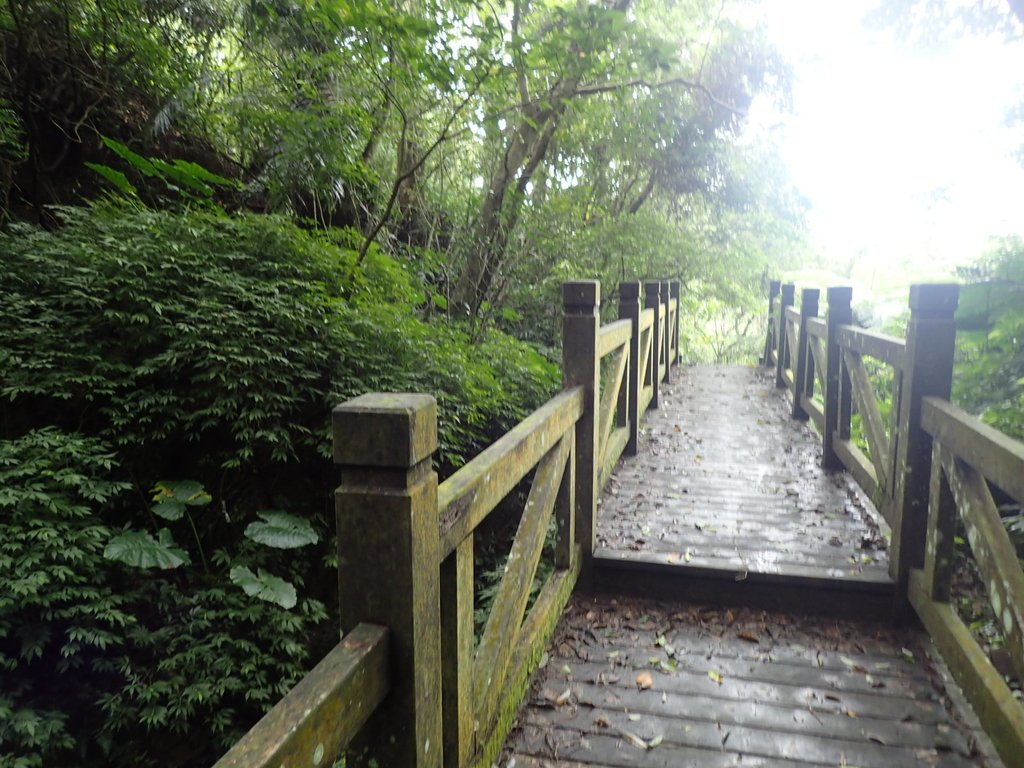 P3018868.JPG - 深坑  土庫岳登山步道  (02)