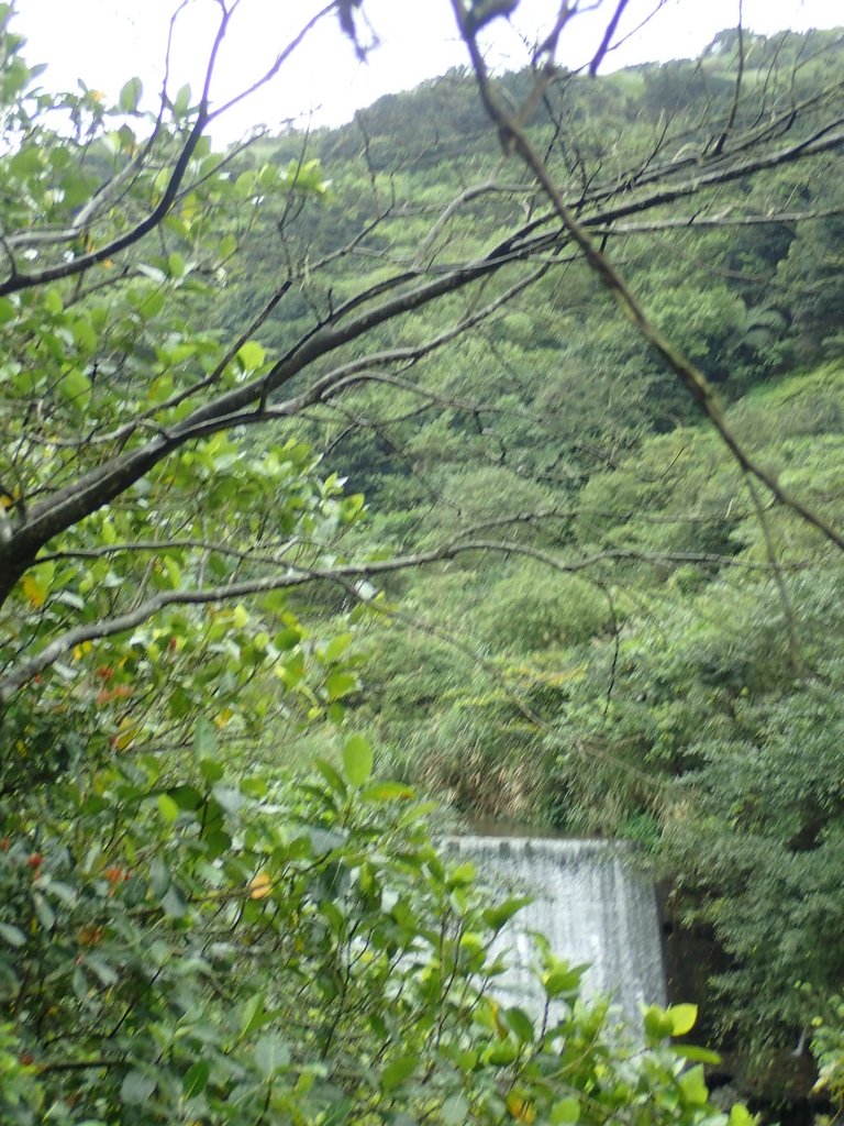 P3240615.JPG - 金瓜石之  外九份溪圳橋