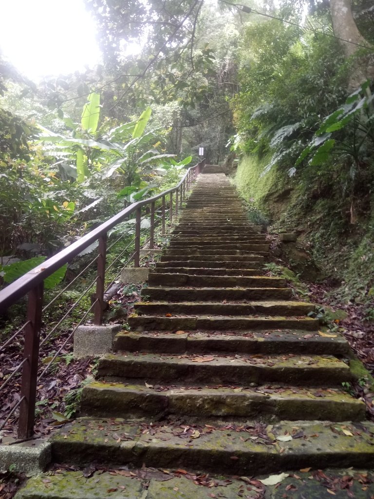 DSC_2792.JPG - 獅頭山  獅山古道  (02)