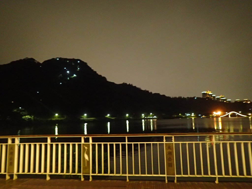 P3117020.JPG - 內湖  大湖公園之夜色