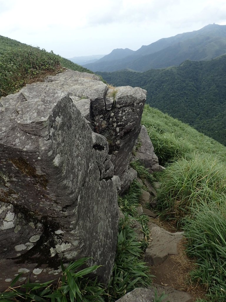 P7165520.JPG - 小觀音山  西峰登山步道