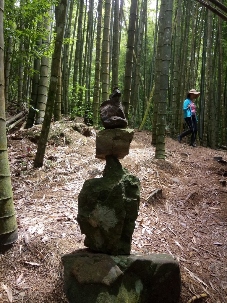 DSC_5261.JPG - 台中和平  長壽山登山步道  (中)