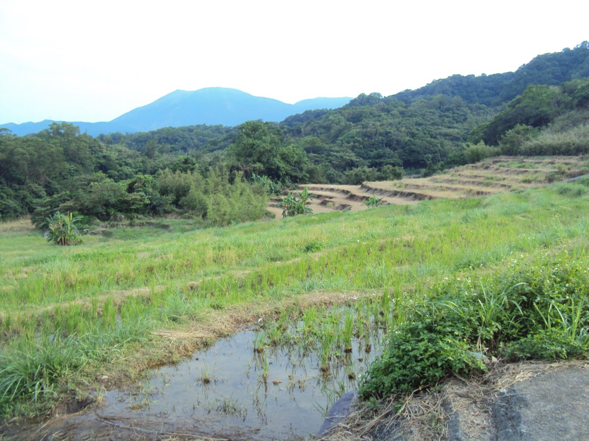 DSC09062.JPG - 金山  葵扇湖田野風光(二) 