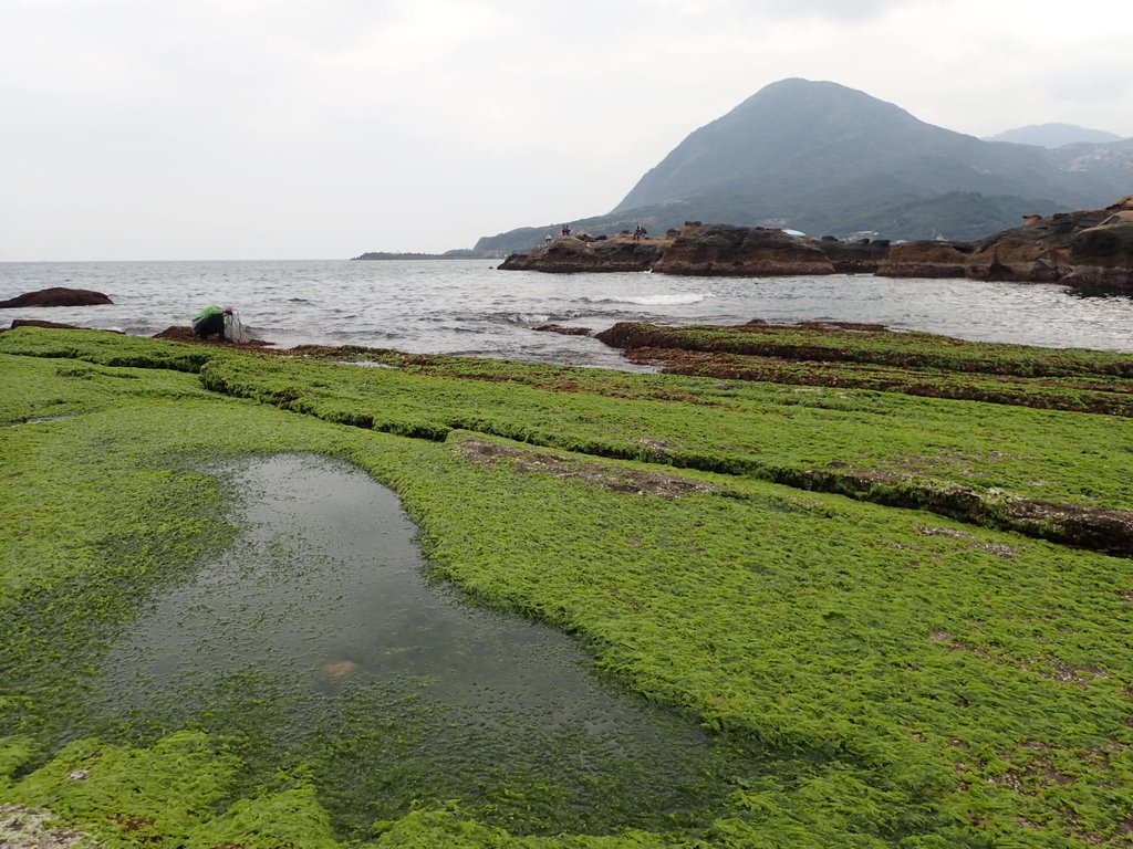 瑞芳  瑞濱海岸岩石之美