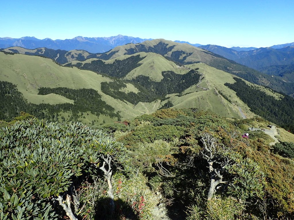 PC132135.JPG - 合歡山  東峰