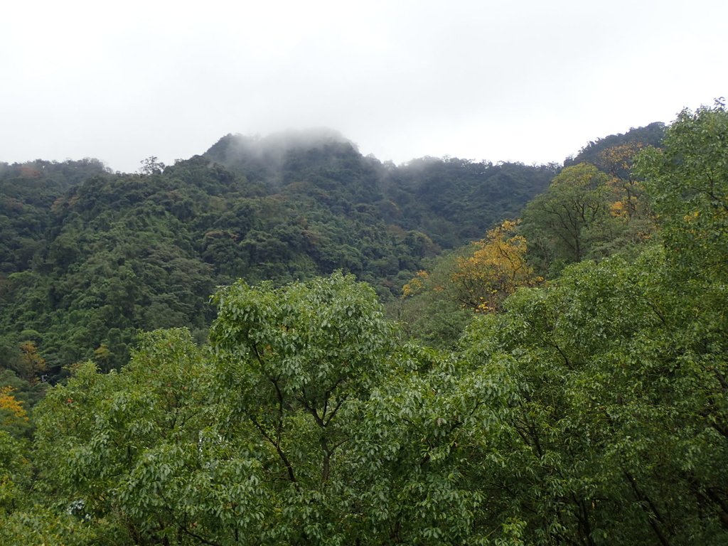 P1062089.JPG - 再訪  土城  承天禪寺