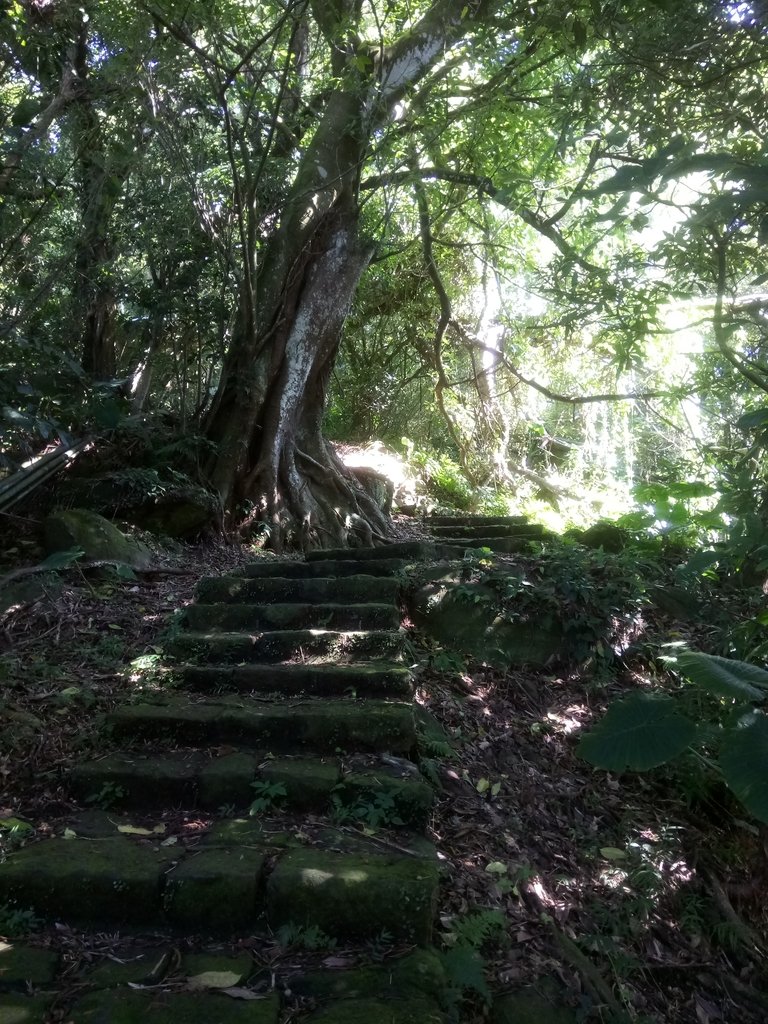 DSC_8758.JPG - 北投  中正山登山步道 01