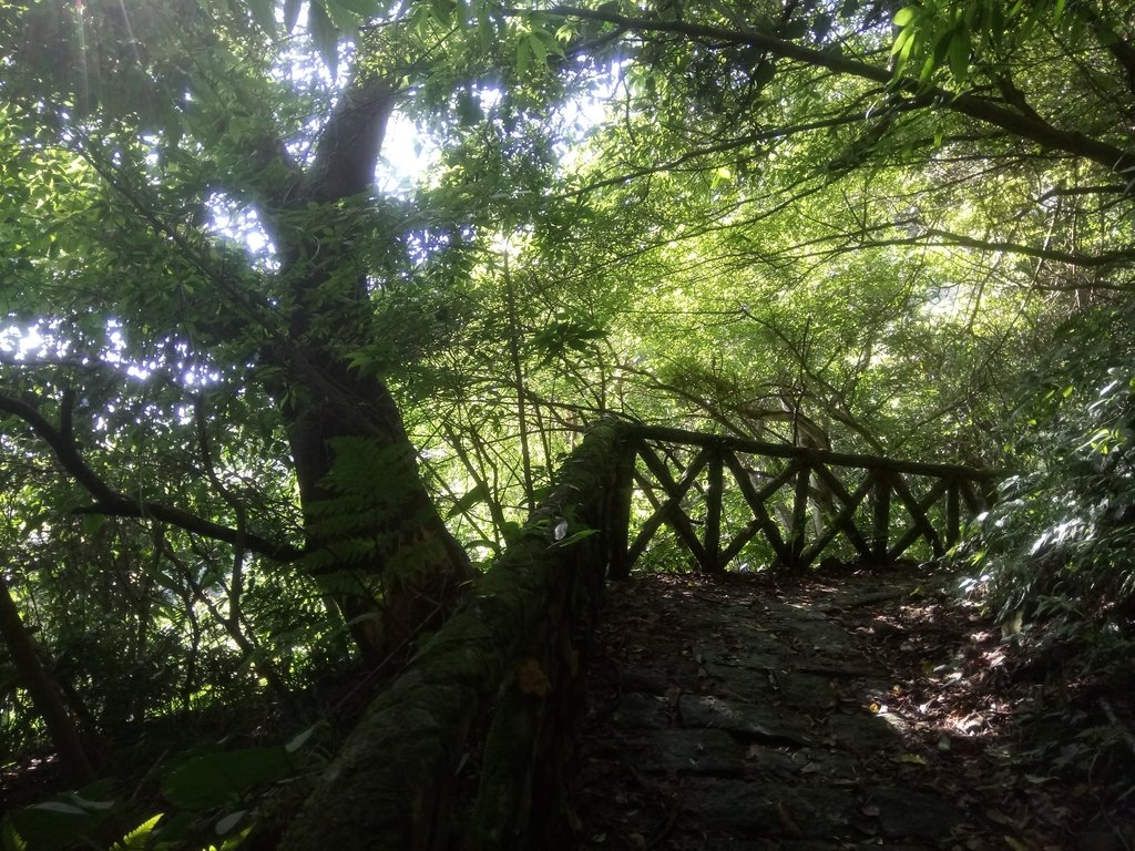 DSC_8792.JPG - 北投  中正山登山步道 03