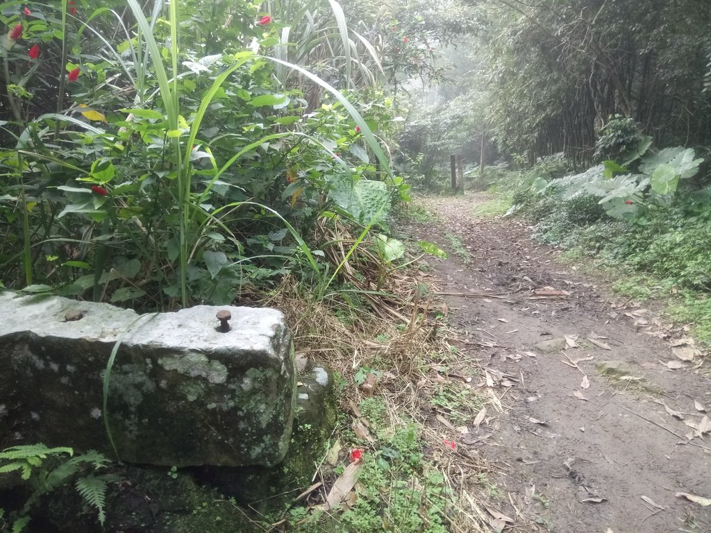 DSC_6186.JPG - 三峽  白雞山登山步道