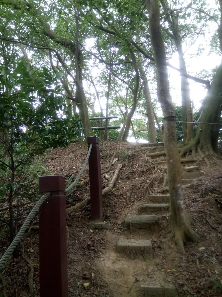 DSC_5145.JPG - 三峽  鳶尾山登山步道