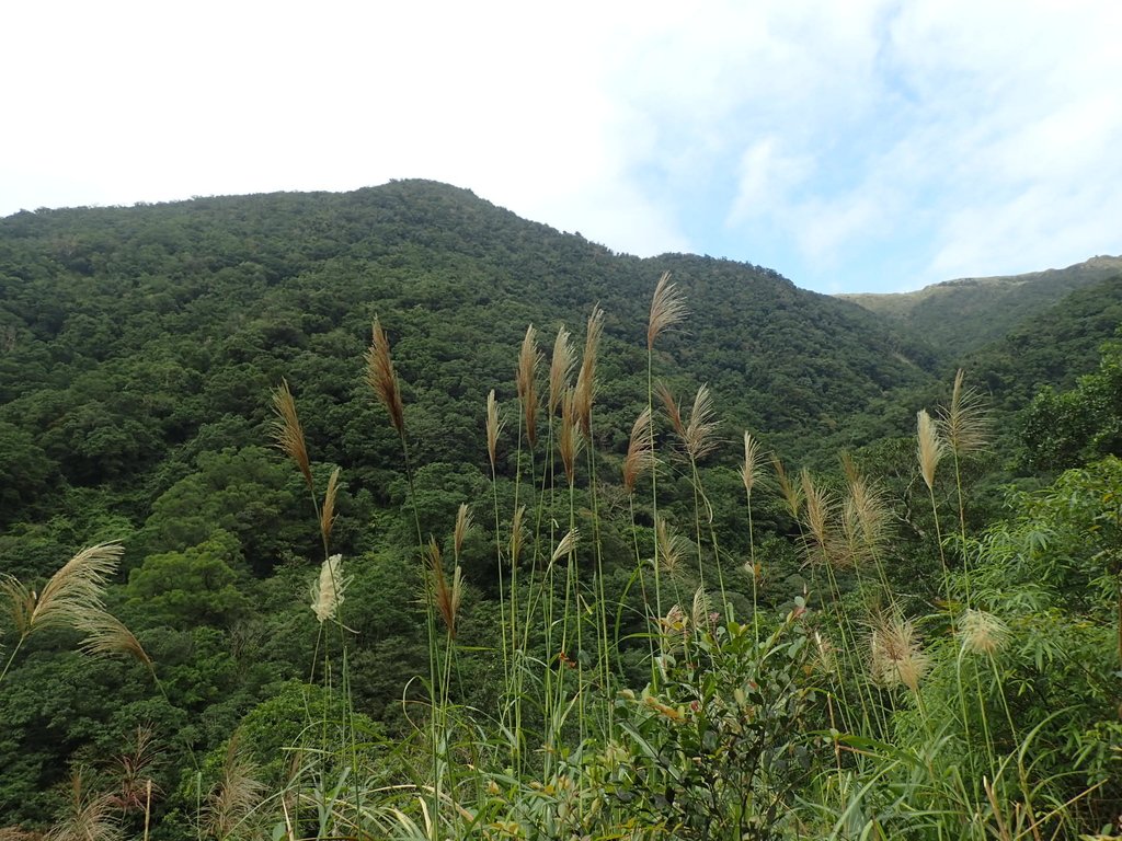 PB159002.JPG - 礁溪  聖母登山步道  (抹茶山)