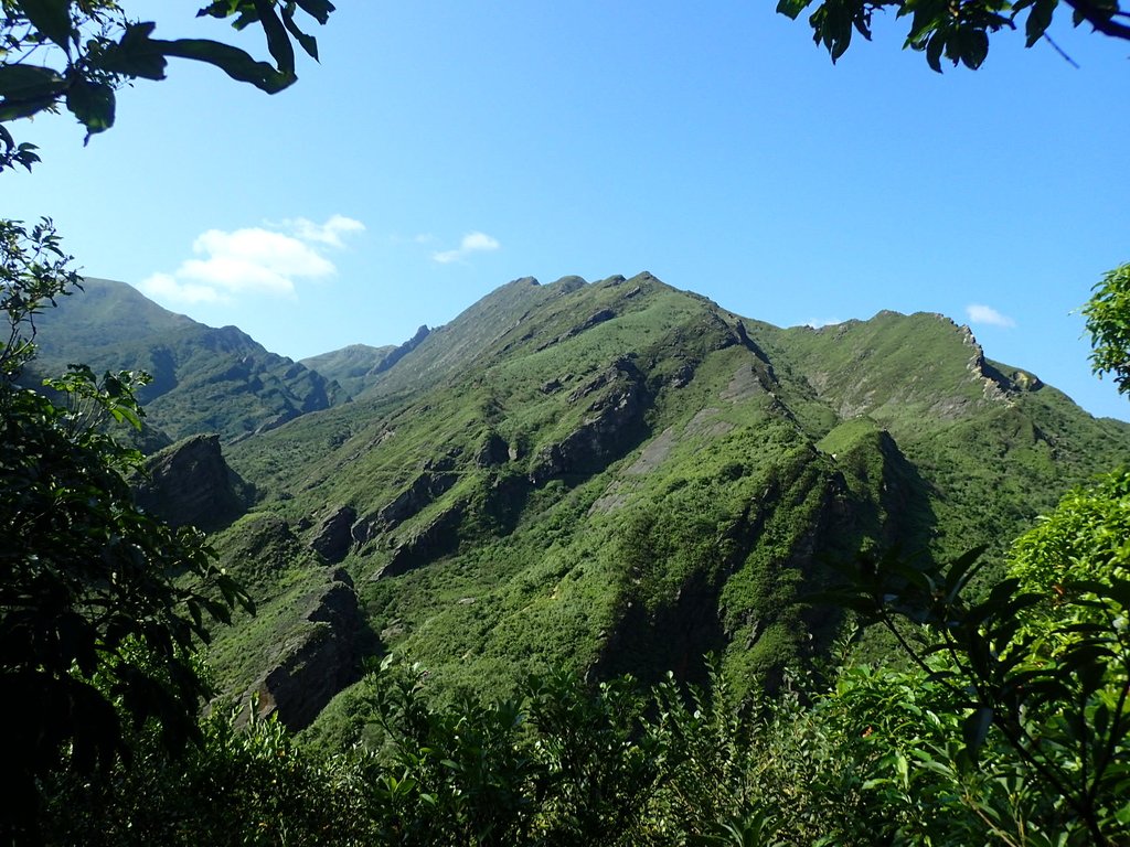 PA104834.JPG - 秋晴  南子吝山  登龍尾坪