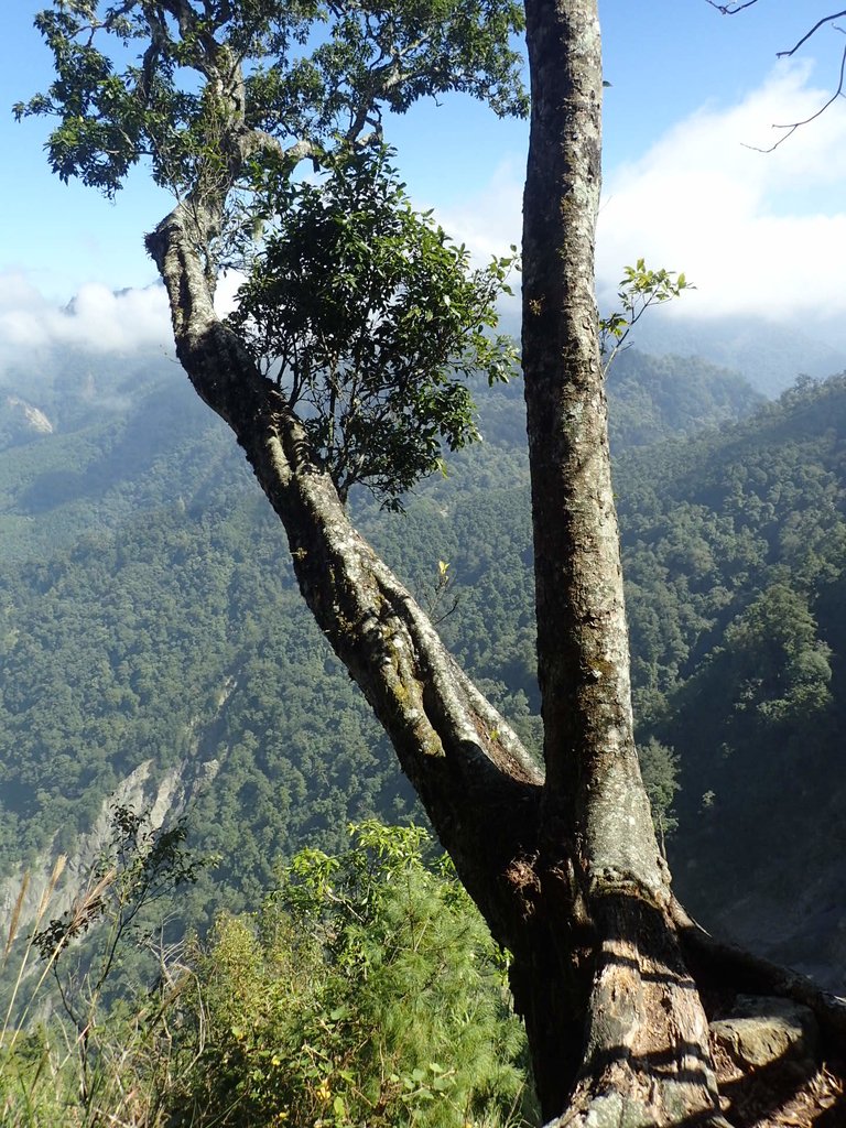 PA185620.JPG - 台中  和平  稍來山