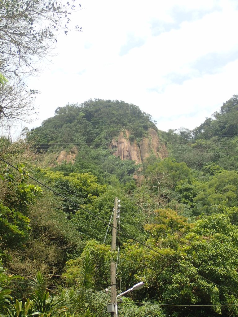 P2145356.JPG - 瑞芳  白象山(弘明山) 未竟