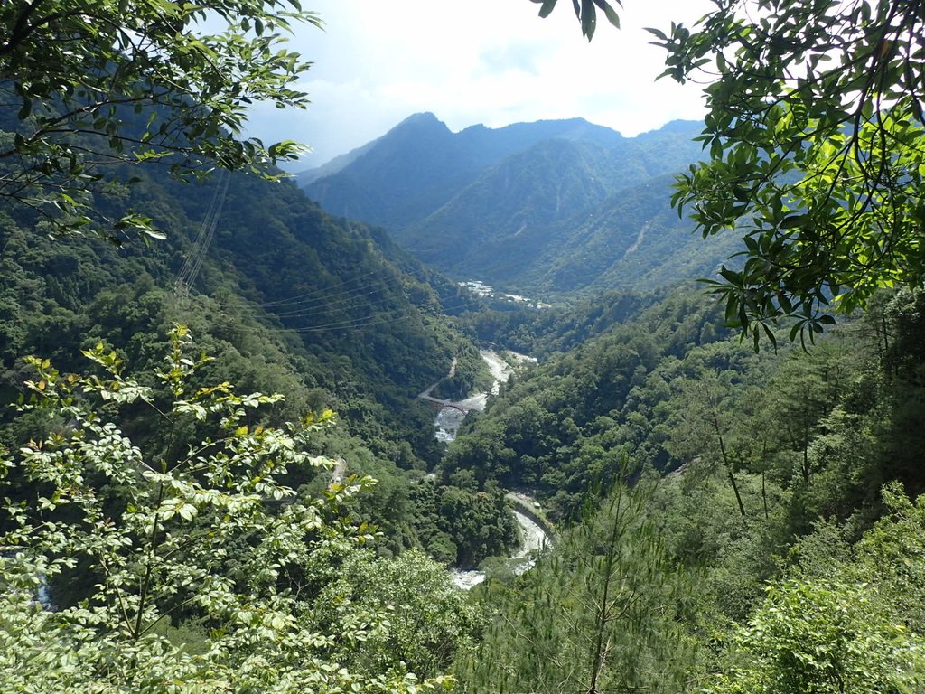 P6054141.JPG - 谷關七雄之  馬崙山  (上)