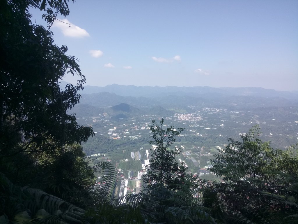 DSC_4034.JPG - 魚池  過坑山登山步道