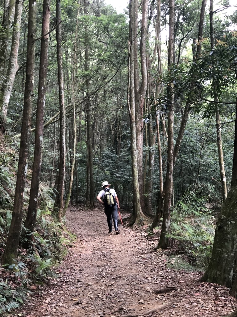 IMG_7709.JPG - 台中  和平  橫嶺山自然步道