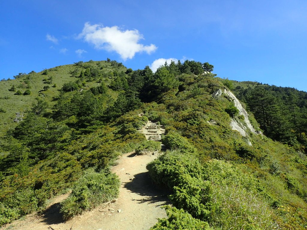 P7245943.JPG - 合歡山  北峰之美  (上)