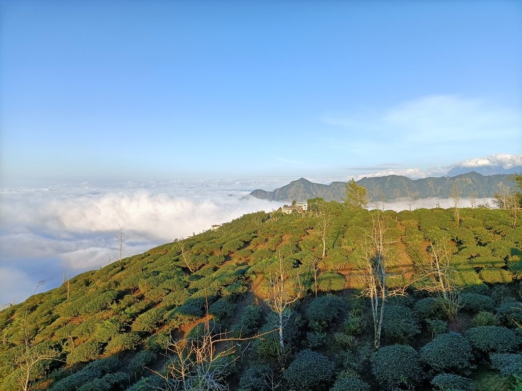 IMG20210107163754.jpg - 鹿谷  大崙山  觀霧亭之  暮光