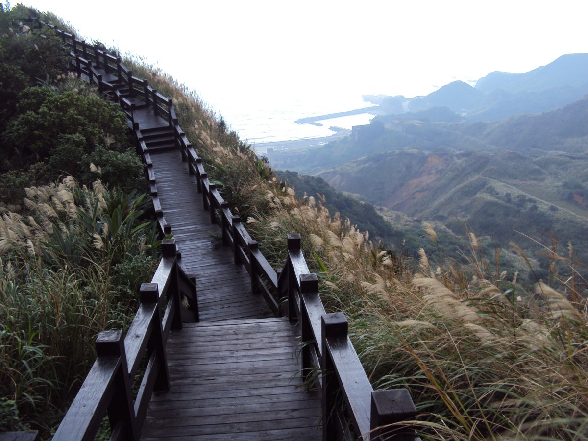 DSC03299.JPG - 報時山步道