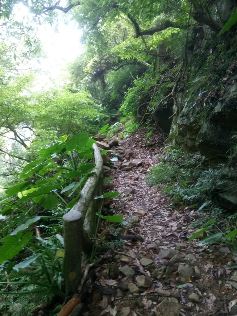 DSC_8793.JPG - 北投  中正山登山步道 03